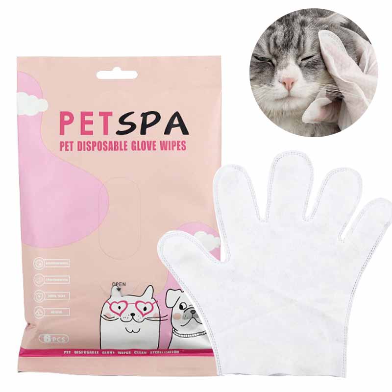 Disposable Gloves Nitrile - 6 Stuks Huisdier Wegwerp Handschoenen Kat